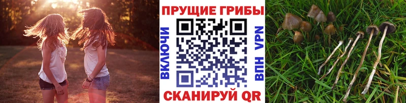 Купить закладки  Кедровый  Галлюциногенные грибы мухоморы 
